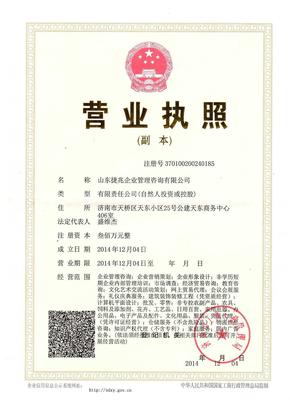 山東捷兆企業(yè)管理咨詢 賦能企業(yè)發(fā)展，驅(qū)動管理升級